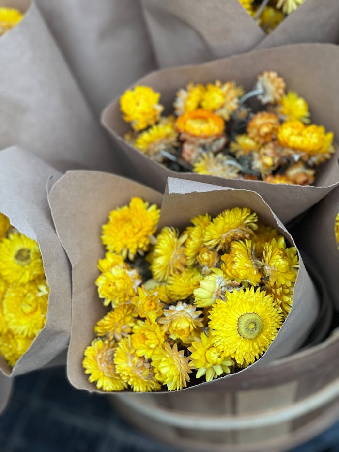 Bouquets of vibrant yellow flowers in brown paper wraps, creating a rustic, cheerful display.